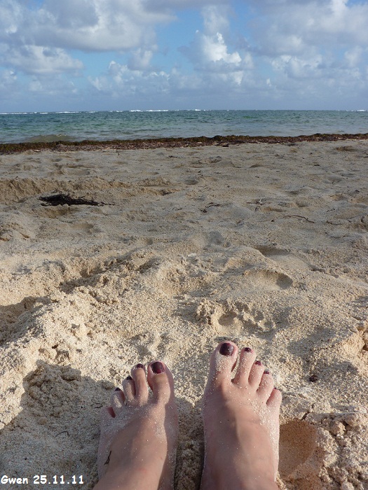 martinique11