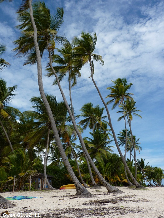 martinique11