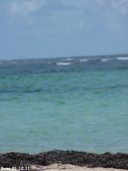 martinique11