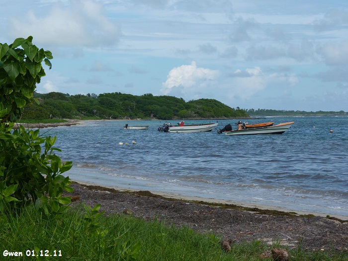 martinique11