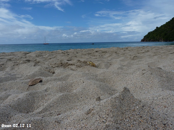 martinique11