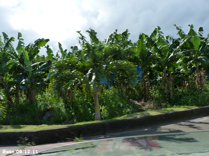 martinique11