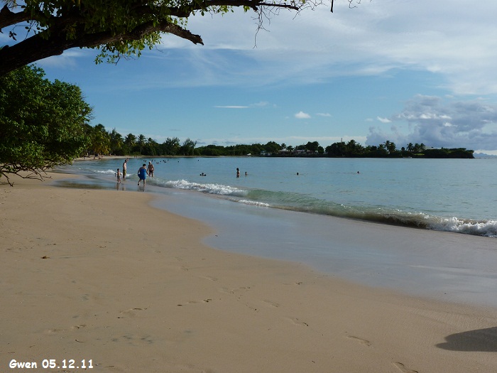 martinique11