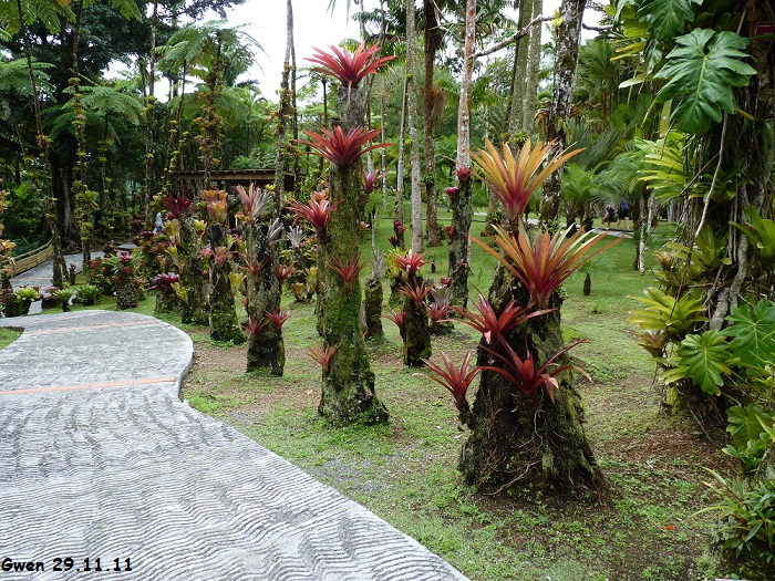 martinique11