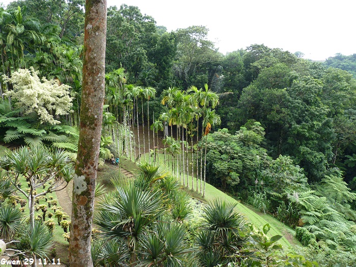 martinique11
