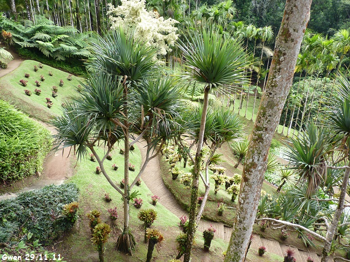 martinique11
