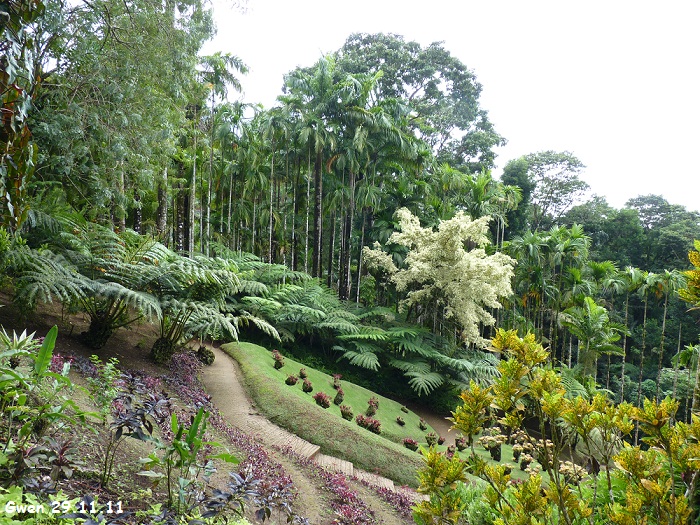 martinique11