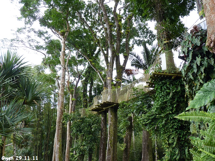 martinique11