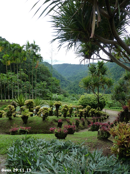 martinique11