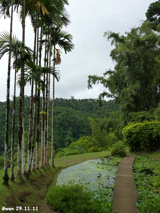 martinique11